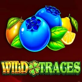 Play the Wild Traces slot by Amusnet Interactive on Twin Casino